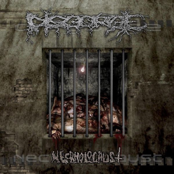 Disgorge (2) - Necrholocaust